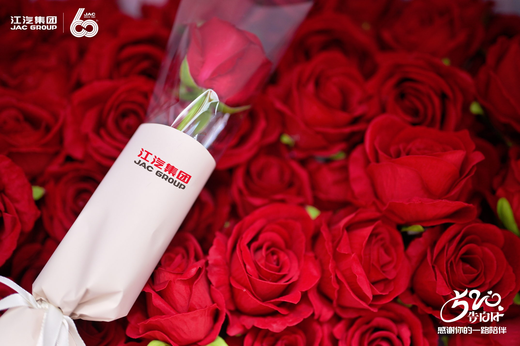 PG����(����)����IOS/��׿��/�ֻ���APP����